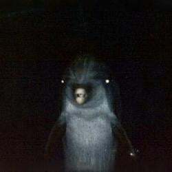 Gerald The Dolphin logo