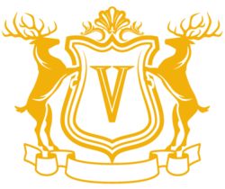 Vega Coin logo