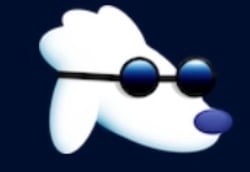 Poodl logo