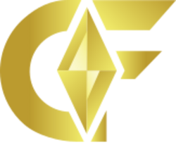 Cash Flash logo