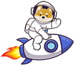 Floki Rocket logo