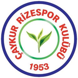 Rizespor Token logo