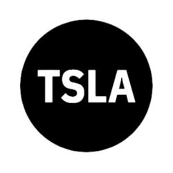 Tesla Tokenized Stock Defichain logo