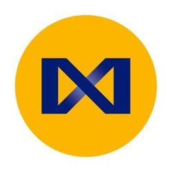 MetaOctagon logo