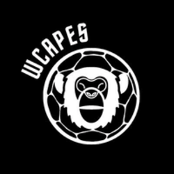 WCAPES logo