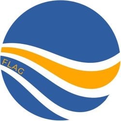 Flag Coin logo