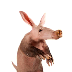 Aardvark [OLD] logo