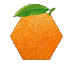 Hex Orange Address logo