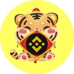 BNB Tiger logo