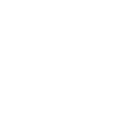 TaoPad logo