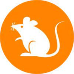 1000RATS logo