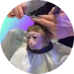 monkeyhaircut logo
