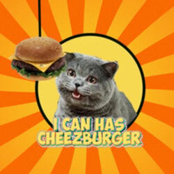 Cheezburger logo