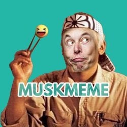 MUSK MEME logo