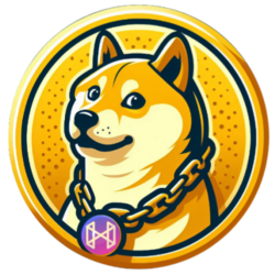 HELI Doge logo