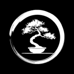 Bonsai Token logo