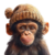 apewifhat