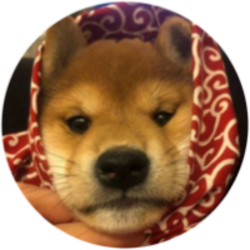 dogwifscarf logo