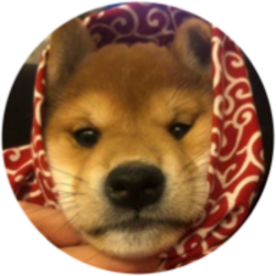 dogwifscarf logo