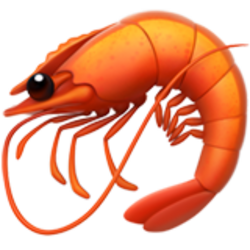 Shrimp logo