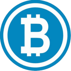 Bitcoin TON logo