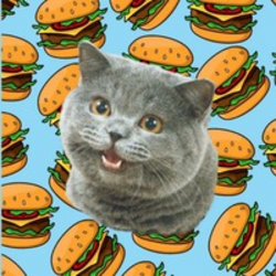 Cheezburger Cat logo