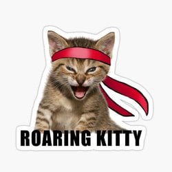 Roaring Kitty (Sol) logo