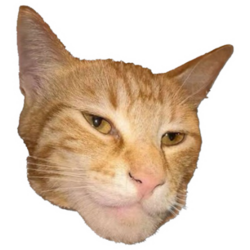 Giga Cat logo