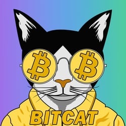 Bitcat