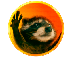 Pedro the Raccoon logo