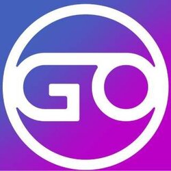 G8 Coin logo