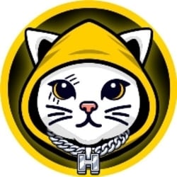 Cat in Hoodie logo
