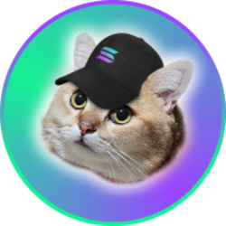 CatSolHat logo