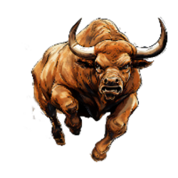 Bull Run Solana logo