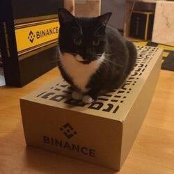 Binance Cat logo