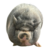 nikepig