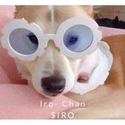 Iro-Chan logo