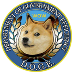 Department Of Government Efficiency logo