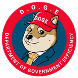 Department Of Government Efficiency