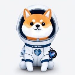 Asteroid Shiba logo