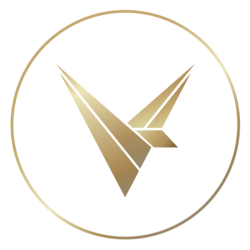 Valinity logo