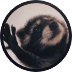 Pedro Raccoon logo