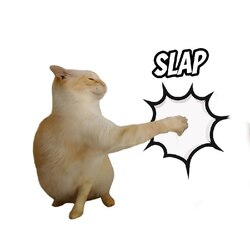 Slap cat logo