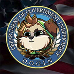 Department of Government Inefficiency logo