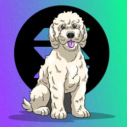 Stream Guys Dog Lily logo