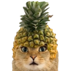 Pineapple Cat logo