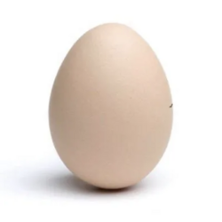 Egg logo