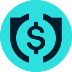 USD WINK logo