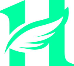 HyperFly logo