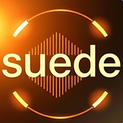 Johnny Suede logo